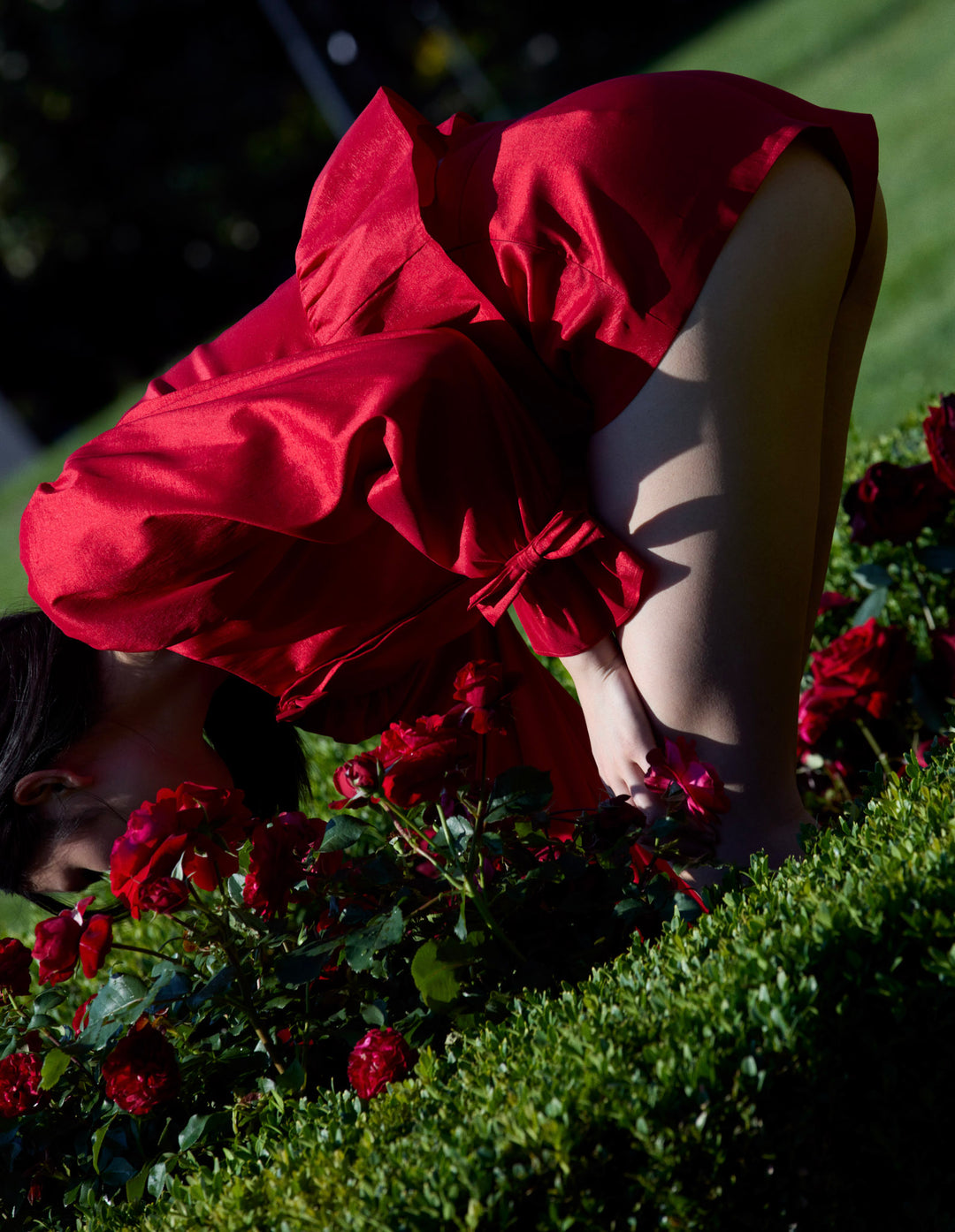 Lucia Shorts — Red