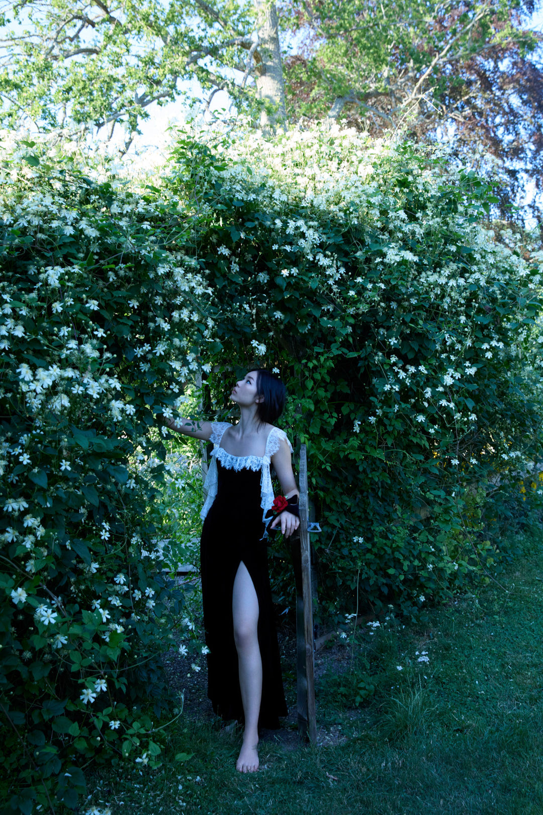 La Vie En Bow Velvet Maxi Dress — Black