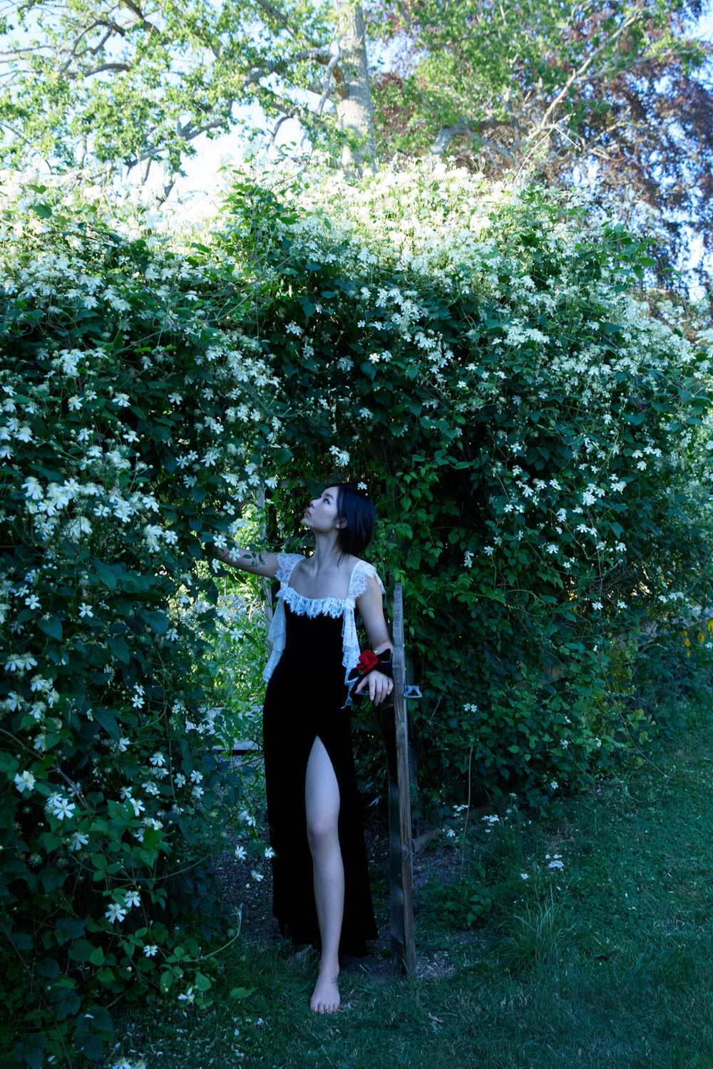 La Vie En Bow Velvet Maxi Dress — Black