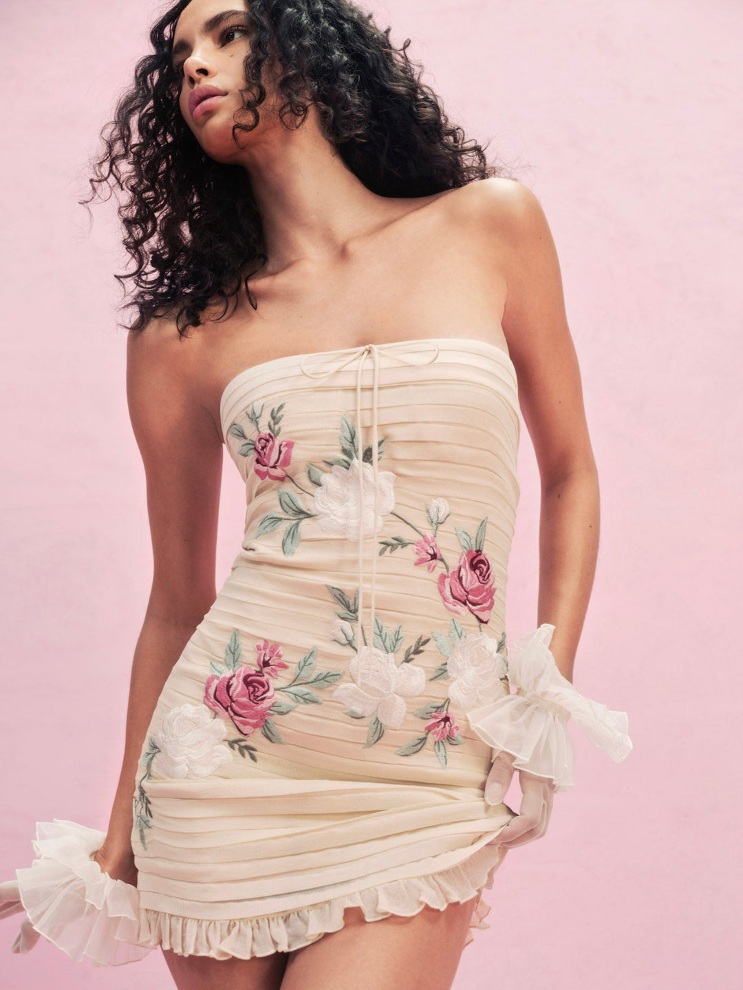 Climbing Rose Embroidered Mini Dress — Vintage Cream