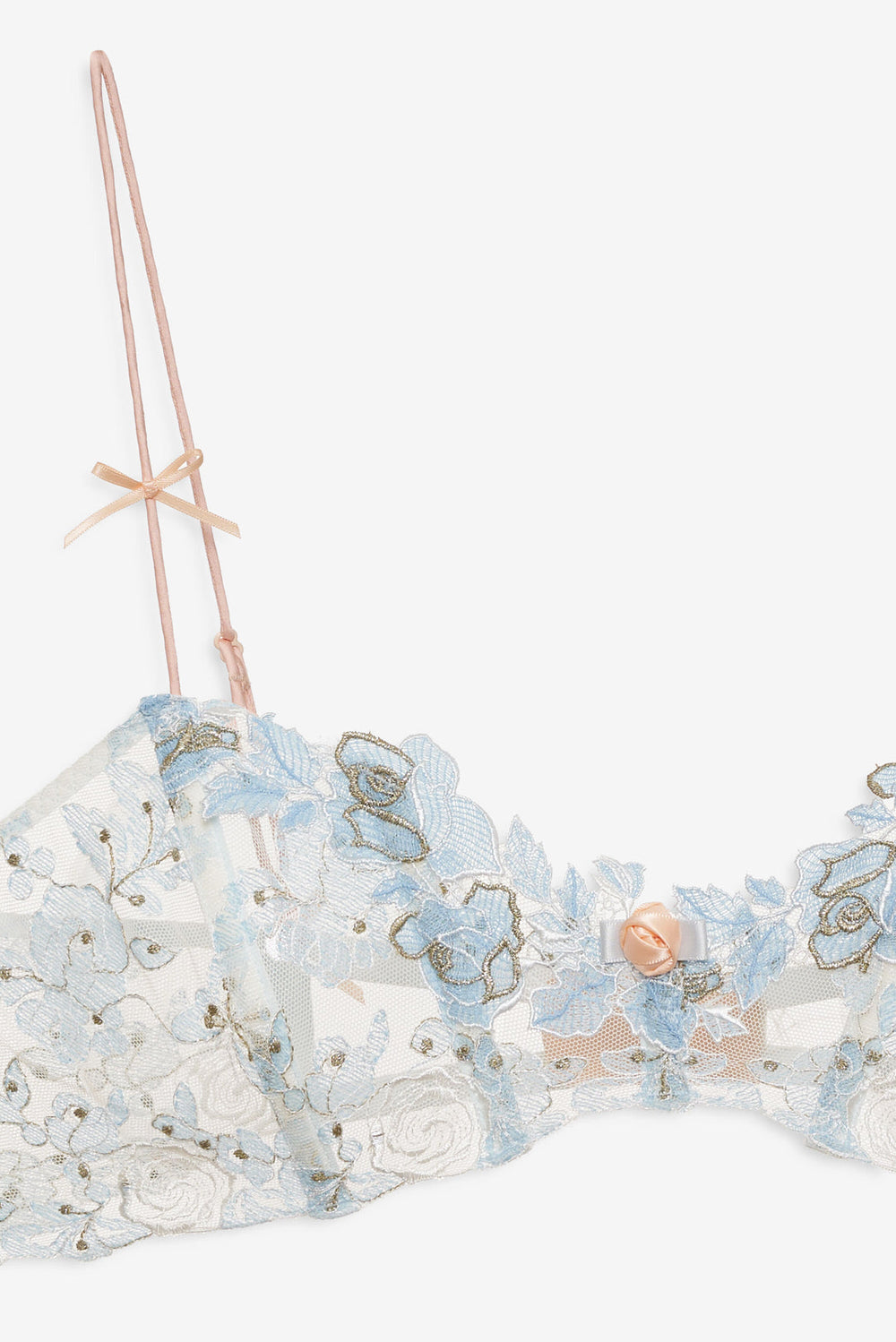 Winter Roses Bra — Blue